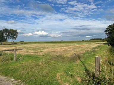 Land-/Forstwirtschaft zum Kauf 216.000 € Nenndorf , Ostfriesl 26556