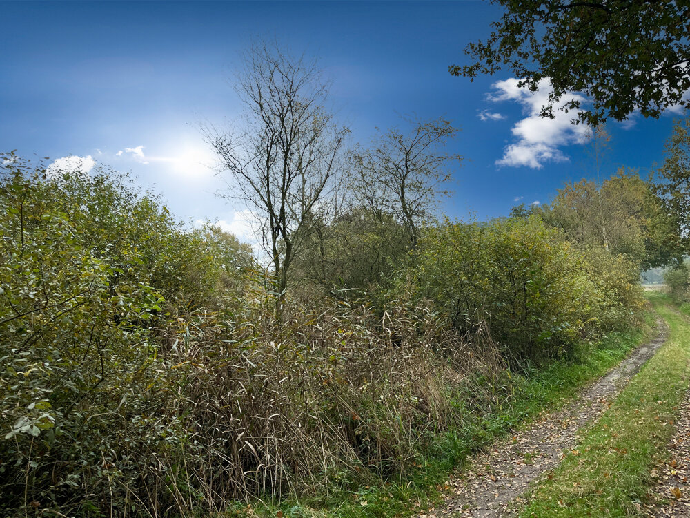 Land-/Forstwirtschaft zum Kauf 3.828 m²<br/>Grundstück Dörverden Dörverden/Hülsen 27313