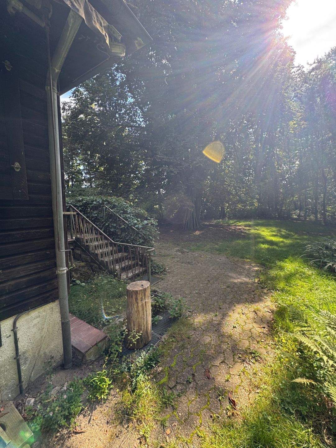 Immobilie in Stemmen - Bungalow in traumhafter Lage an kleinem Bach - Bild 2