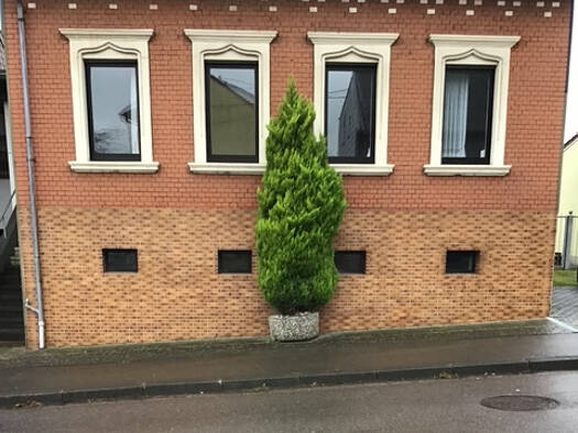 Einfamilienhaus zum Kauf provisionsfrei 174.900 € 5 Zimmer 121 m² 503 m² Grundstück Knausholz Schwalbach 66773