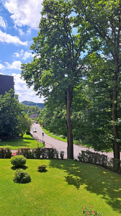 Wohnung zum Kauf 58.500 € 2 Zimmer 62,1 m² 1. Geschoss Hackenberg Bergneustadt 51702