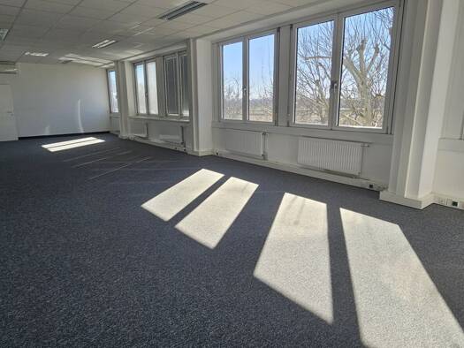 Bürofläche zur Miete 9,50 € Concorde Business Park Schwechat 2320
