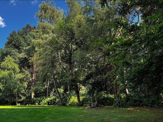 Einfamilienhaus zum Kauf provisionsfrei 1.200.000 € 6 Zimmer 245 m² 10.100 m² Grundstück Buchholz Dortmund 44265