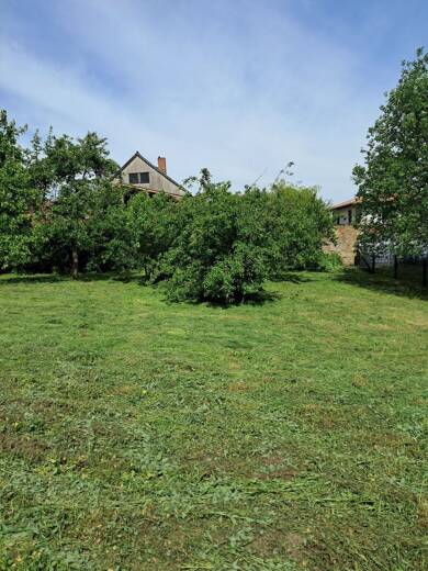 Grundstück zum Kauf provisionsfrei 45.000 € 800 m² Grundstück Parkweg 8 Levitzow Sukow-Levitzow 17168