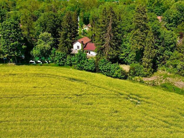 Einfamilienhaus zum Kauf 1.480.000 € 8 Zimmer 240 m² 1.750 m² Grundstück Emmering Emmering , Kr Fürstenfeldbruck 82275