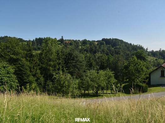 Grundstück zum Kauf 98.000 € 870 m² Grundstück Pinsdorf 4812