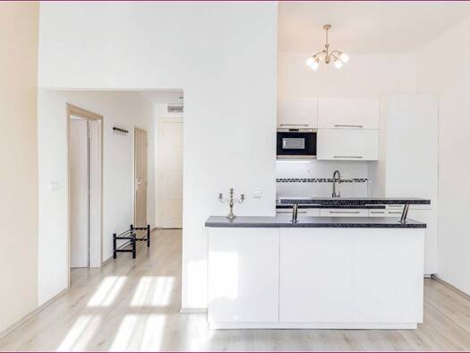 Wohnung zur Miete 1.000 € 2 Zimmer 50 m² Geschoss 3/6 frei ab 01.10.2026 Rheinallee 4 F Süd Ludwigshafen am Rhein 67061
