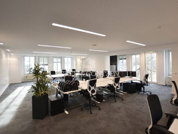 Büro zur Miete 13 € 667 m² Bürofläche Beuel Bonn 53225