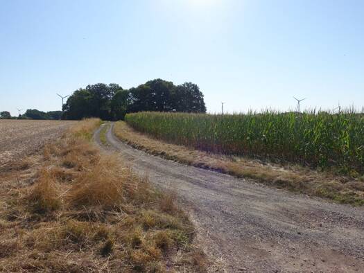 Bauernhof zum Kauf 63.784 m² Grundstück Glissen Binnen 31619