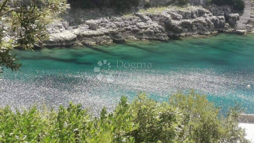 Land-/Forstwirtschaft zum Kauf 235.000 € Blato