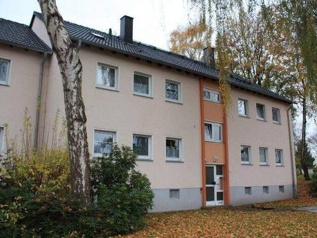 Wohnung zur Miete 519 € 3,5 Zimmer 60,2 m² EG Tengelmannweg 12 Dorstfeld Dortmund 44149
