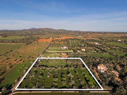 Grundstück zum Kauf provisionsfrei 380.000 € 14.381 m² Grundstück Baugenehmigung vorhanden Santanyi