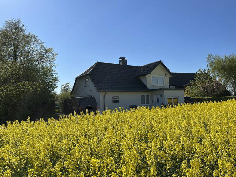 Einfamilienhaus zum Kauf provisionsfrei 379.000 € 4 Zimmer 143 m² 1.366 m² Grundstück Thumby 24351