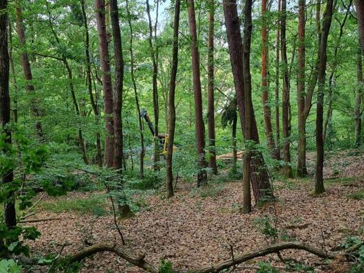 Land-/Forstwirtschaft zum Kauf provisionsfrei 6.900 € 8.120 m² Grundstück Unterelsbach Oberelsbach 97656