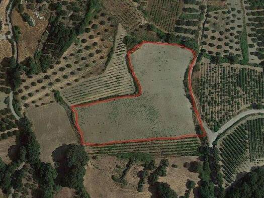 Grundstück zum Kauf 175.000 € 7.000 m² Grundstück Kreta Municipality of Archane - Asterousia 701 00