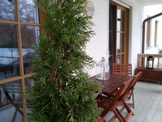 Wohnung zur Miete 795 € 2 Zimmer 45 m² 1. Geschoss frei ab sofort Wolfratshausen 82515