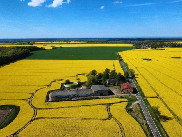 Land-/Forstwirtschaft zum Kauf 130.000 € 12.252 m² Blankenhagen 18182