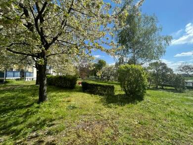 Wohnung zur Miete 341 € 3 Zimmer 59,8 m² 1. Geschoss Am Hang 41 Pausitzer Delle Riesa 01589