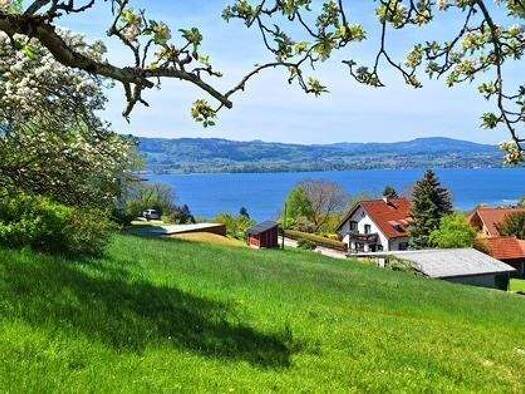 Grundstück zum Kauf ID 813 Weyregg am Attersee 4852