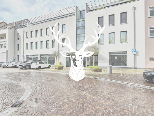 Verkaufsfläche zur Miete 8.750 € 350 m² Verkaufsfläche teilbar ab 116 m² Waldshut Waldshut-Tiengen 79761