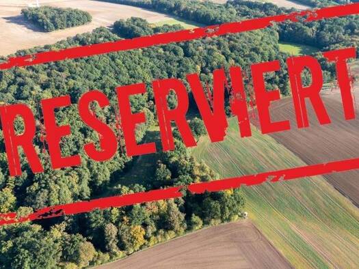 Grundstück zum Kauf 7.000 € 5.150 m² Grundstück Rudelsdorf Heideland OT Lindau 07613