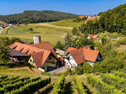 Haus zum Kauf 685.000 € 600 m² 33.753 m² Grundstück Sankt Nikolai im Sausal 8505