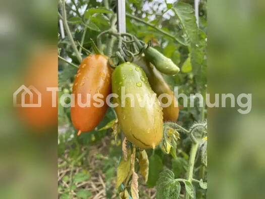 Wohnung zur Miete Tauschwohnung 550 € 3 Zimmer 50 m² 1. Geschoss Oberaußem Bergheim 50129