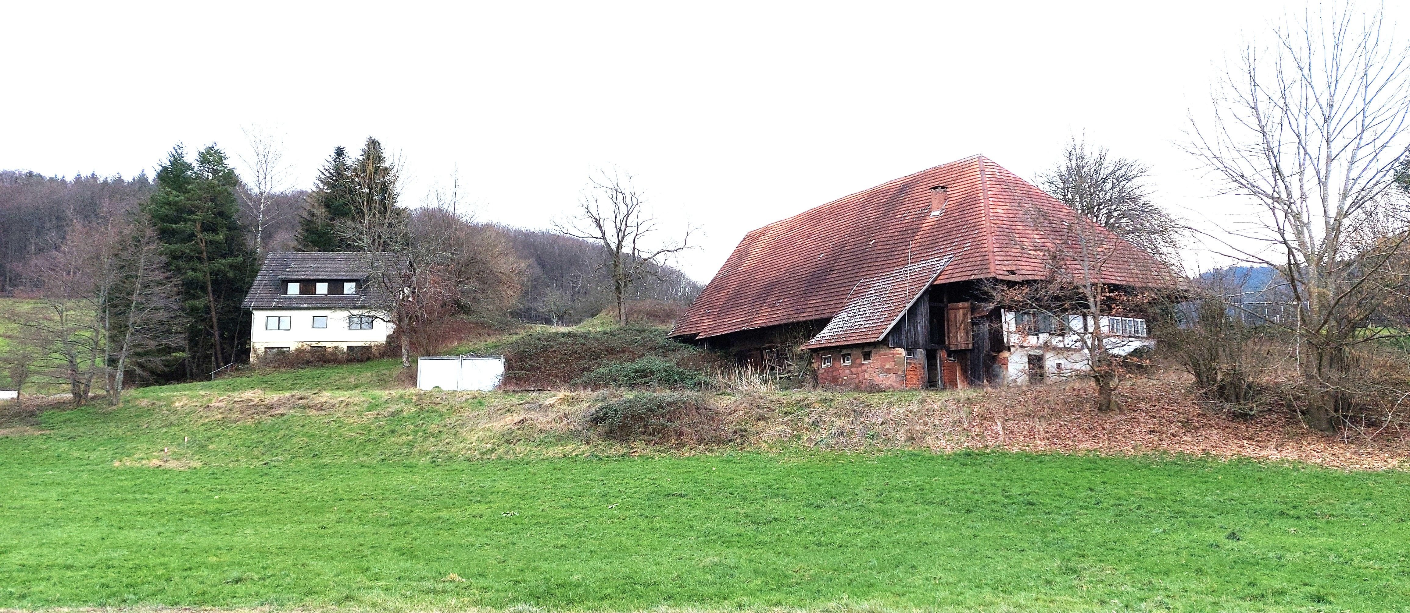 Bauernhaus zum Kauf provisionsfrei 1.500.000 € 80.000 m²<br/>Grundstück Emmendingen Emmendingen 79312