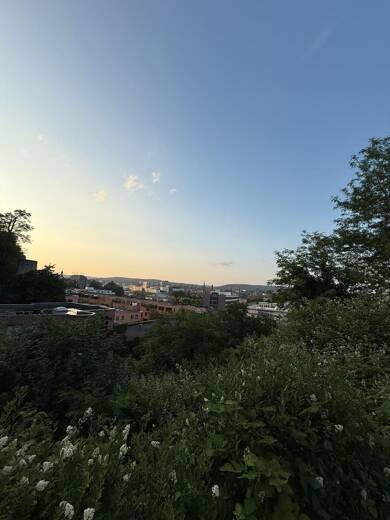 Wohnung zur Miete 2.800 € 5 Zimmer 220 m² Geschoss 1/3 frei ab sofort Reppersbergstraße 1 a Reppersberg Saarbrücken 66119