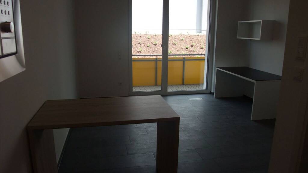 Wohnung zur Miete 420 € 1 Zimmer 26 m² Geschoss EG/1 frei ab sofort Trier-West-Pallien Trier 54294