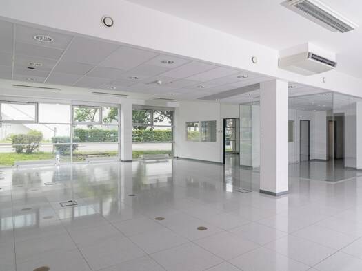 Bürofläche zur Miete 3.300 € 300 m² Bürofläche Brunn am Gebirge 2345