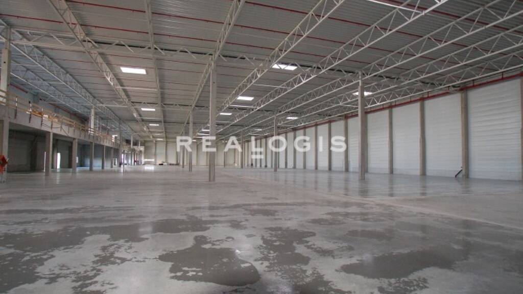 Halle/Industriefläche zur Miete provisionsfrei 15.000 m² Lagerfläche Süd Ludwigshafen am Rhein 67061