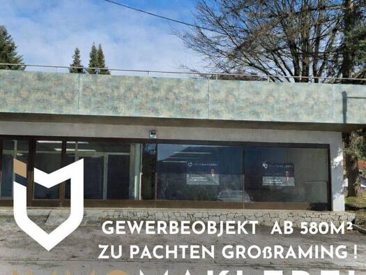 Laden zur Miete 500 m² Verkaufsfläche Großraming 4463