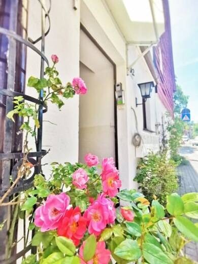 Wohnung zur Miete 275 € 1 Zimmer 28 m² EG frei ab 30.06.2025 Westernstraße 32 Wernigerode Wernigerode 38855