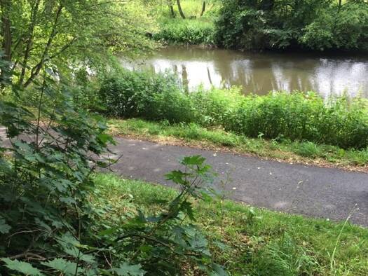 Grundstück zum Kauf provisionsfrei 136.000 € 2.353 m² Grundstück Neudöhlau Döhlau 95182