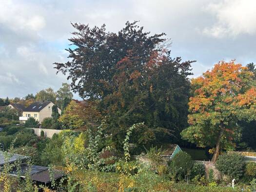 Wohnung zum Kauf provisionsfrei 453.675 € 3 Zimmer 94 m² EG Fasanenstr. 15 a Innenstadt Bielefeld 33607