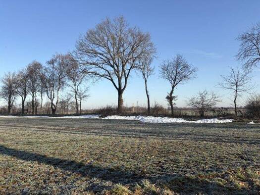 Gewerbegrundstück zum Kauf provisionsfrei 270.000 € 95.310 m² Grundstück Schillerslage Burgdorf 31303