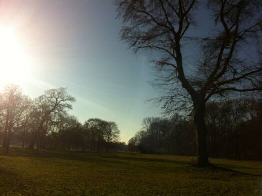 Studio zur Miete 2.000 € 1 Zimmer 70 m² 1. Geschoss frei ab sofort Amalienstr 89 Maxvorstadt München 80799