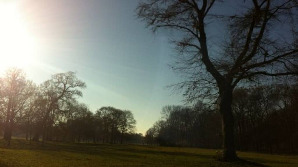 Studio zur Miete 2.000 € 1 Zimmer 70 m² 1. Geschoss frei ab sofort Amalienstr 89 Maxvorstadt München 80799