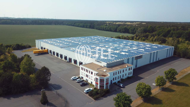 Lagerhalle zur Miete provisionsfrei 11.298 m² Lagerfläche teilbar ab 2.824,5 m² Stegelitz Stegelitz 39291