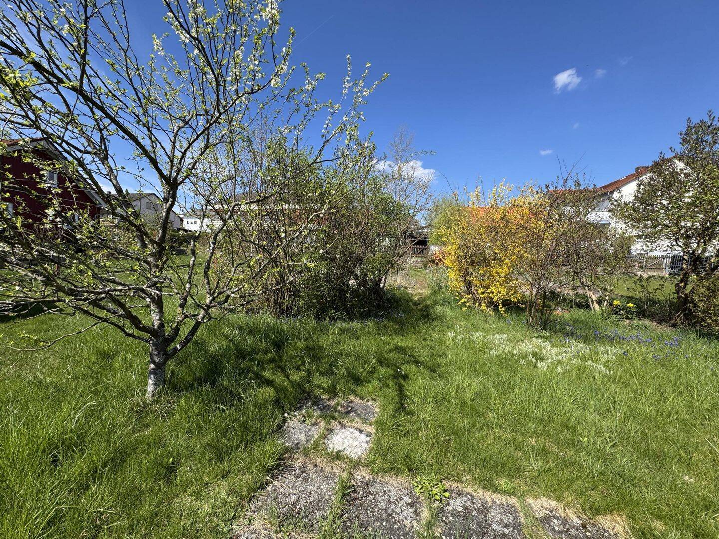 Einfamilienhaus zum Kauf - Ansicht 6