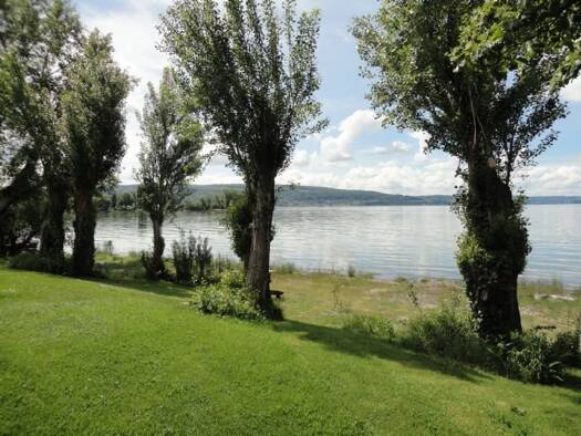 Maisonette zur Miete 770 € 1 Zimmer 45 m² EG frei ab 01.11.2025 Niederzeller Str. 27 Reichenau 78479