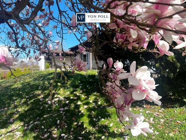 Bungalow zum Kauf 545.000 € 4,5 Zimmer 98 m² 1.847 m² Grundstück Wasserlos Alzenau in Unterfranken / Wasserlos 63755