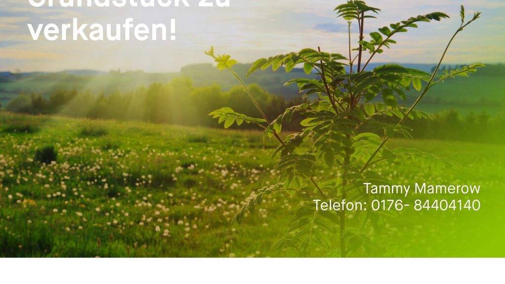 Freizeitgrundstück zum Kauf 430.000 € 680 m² Grundstück Ölper Braunschweig 38114