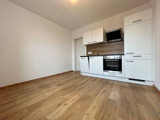 Wohnung zur Miete 403 € 1 Zimmer 38,2 m² 3. Geschoss frei ab sofort Berschenygasse 9-11 Puntigam Graz 8055