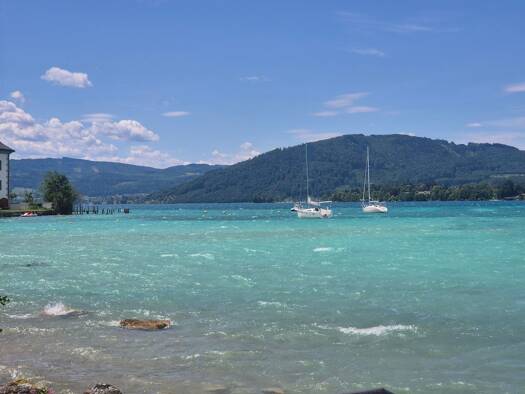 Grundstück zum Kauf 199.000 € 891 m² Grundstück Seewalchen am Attersee 4863