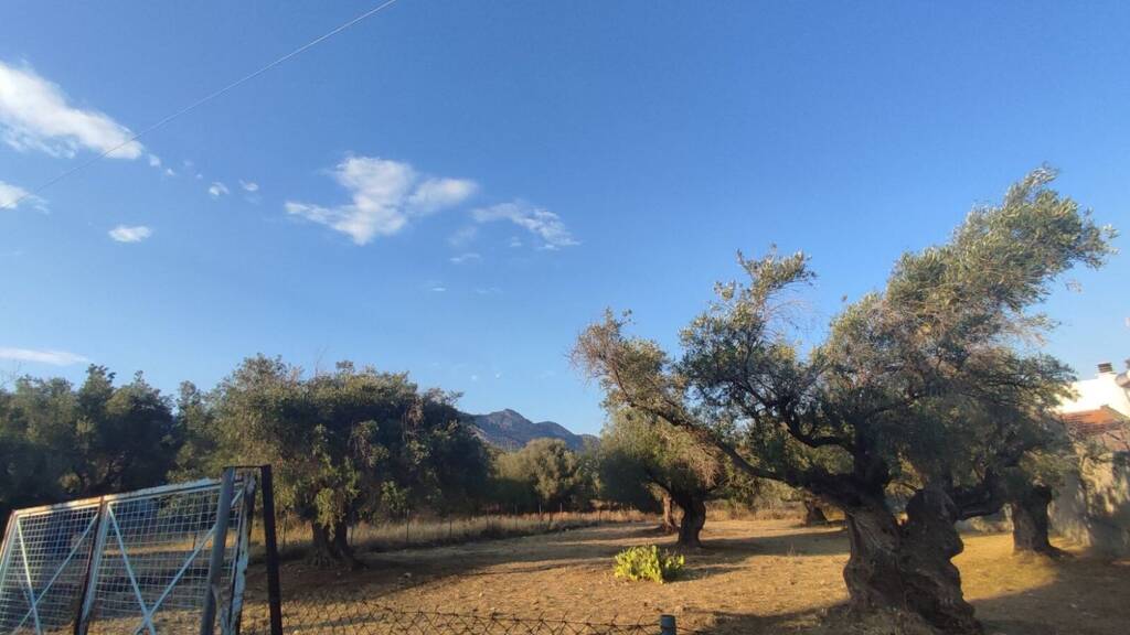 Land-/Forstwirtschaft zum Kauf 85.000 € 932 m² Grundstück Athen