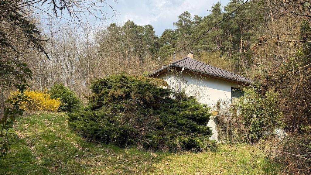 Einfamilienhaus zum Kauf 118.800 € 4 Zimmer 80 m² 23.000 m² Grundstück Nord NIEDERBRONN LES BAINS (Raum) 67110