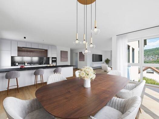 Maisonette zum Kauf - Erstbezug 675.000 € 4 Zimmer 161,2 m² Künzelsau 74653