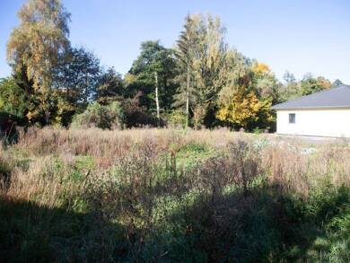 Grundstück zum Kauf provisionsfrei 140.000 € 1.000 m² Grundstück Am Weidengraben Scheubengrobsdorf Gera 07548